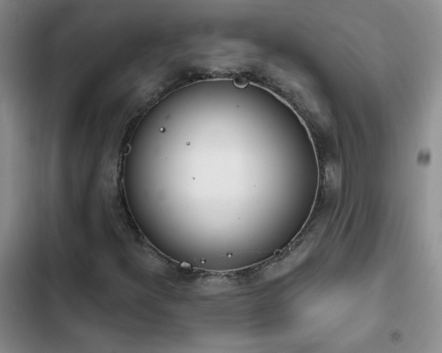 X0000103231300200808281421