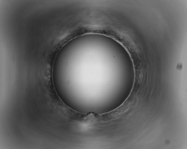 X0000103231301200808281421