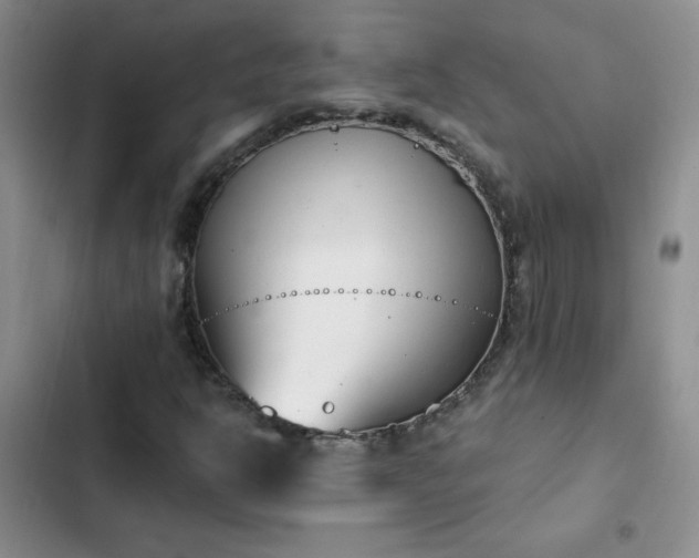 X0000103231302200808281421