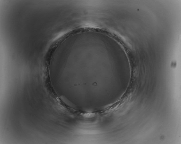 X0000103231303200808281421