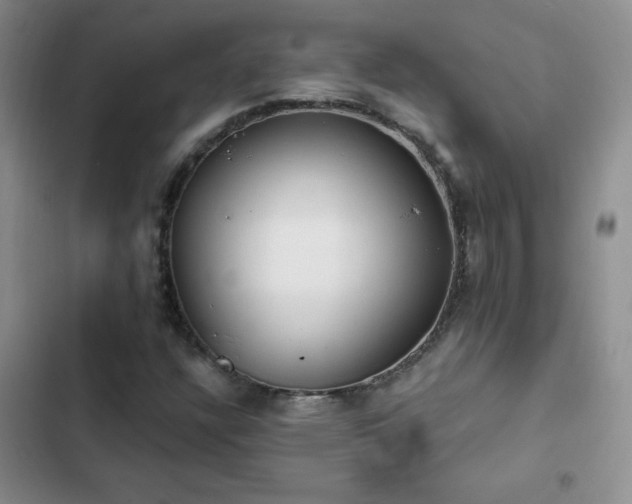 X0000103231304200808281421