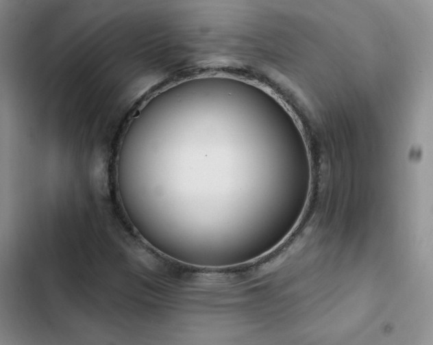 X0000103231305200808281421