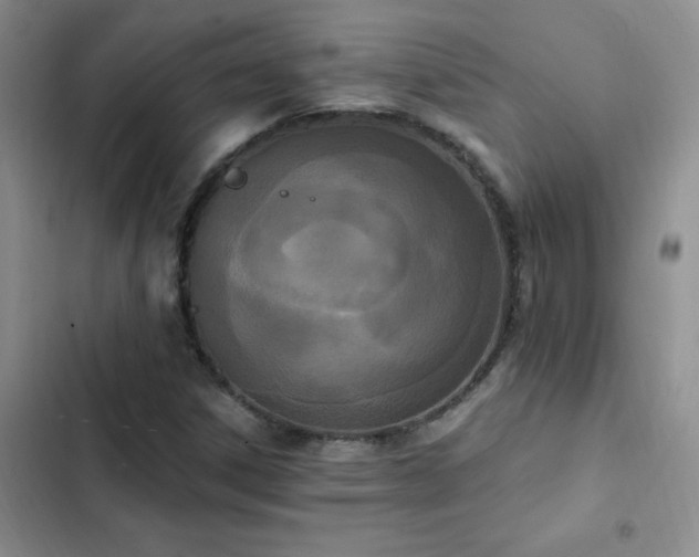 X0000103231306200808281421