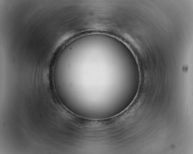 X0000103231307200808281421