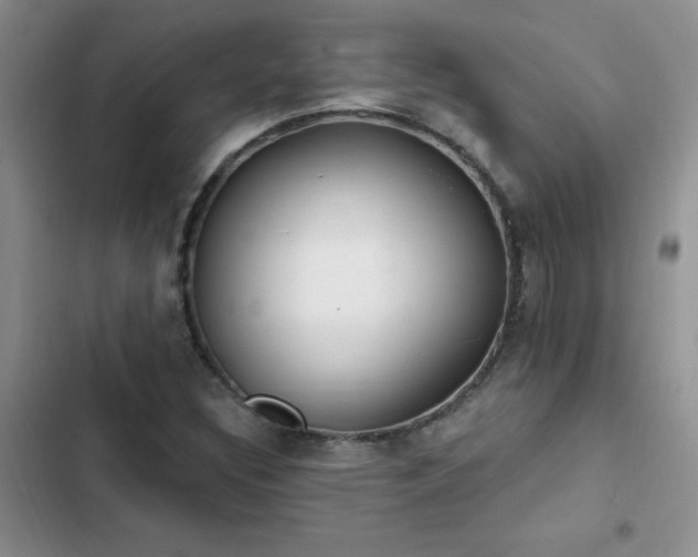 X0000103231308200808281421