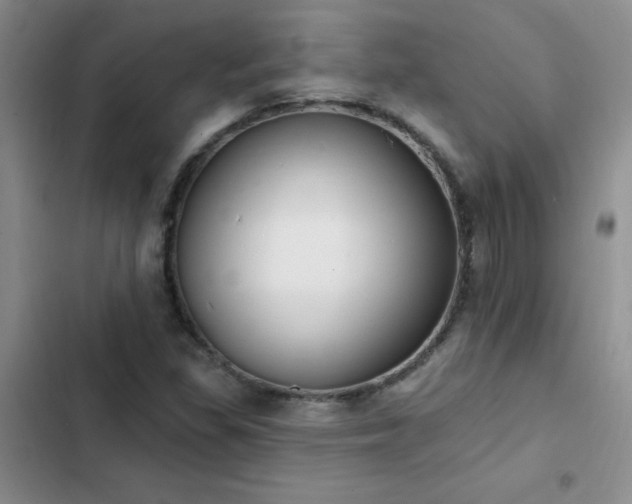 X0000103231309200808281421