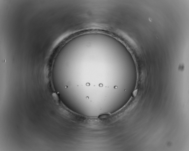 X0000103231310200808281421