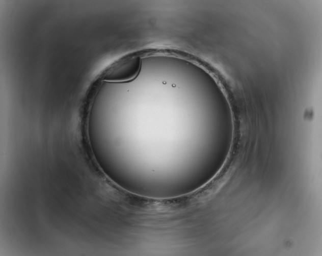 X0000103231311200808281421