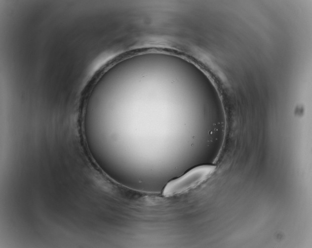X0000103231312200808281421