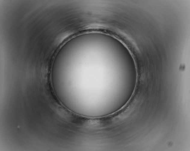 X0000103231313200808281422