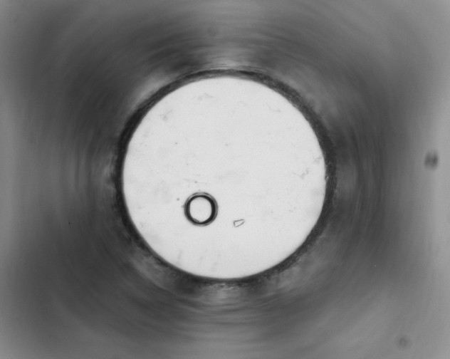 X0000103231314200808281422