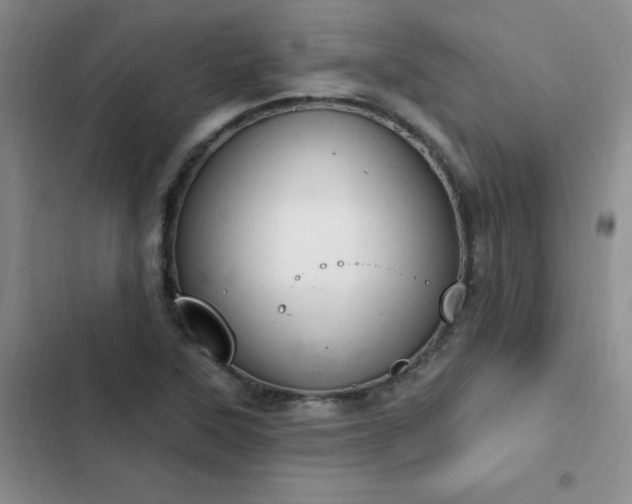 X0000103231315200808281422