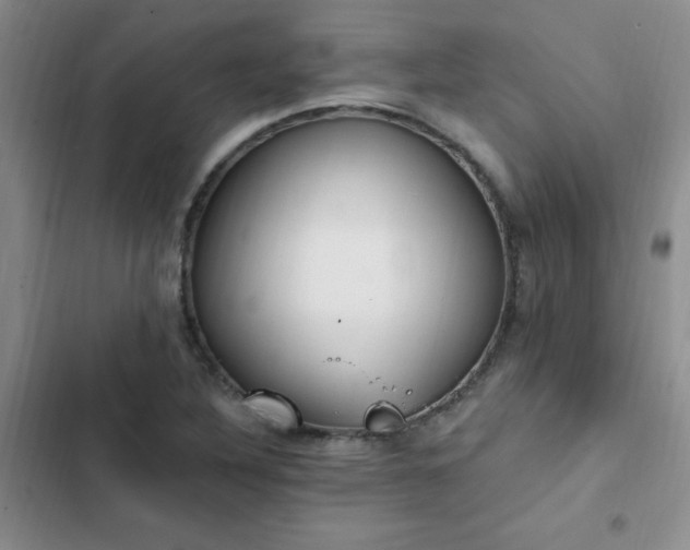 X0000103231316200808281422