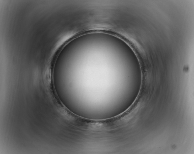 X0000103231317200808281422