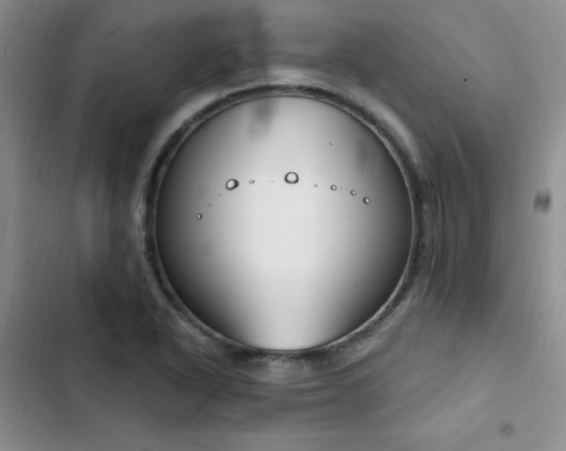 X0000103231318200808281422