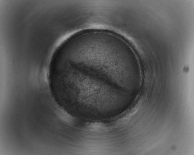 X0000103231319200808281422