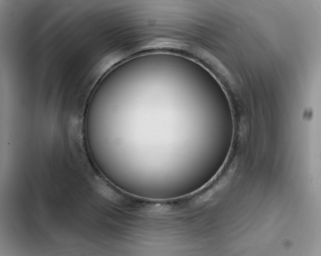 X0000103231321200808281422