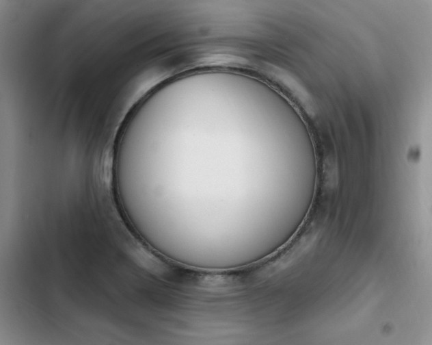 X0000103231322200808281422