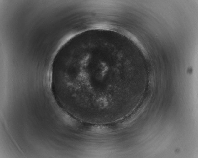 X0000103231323200808281422