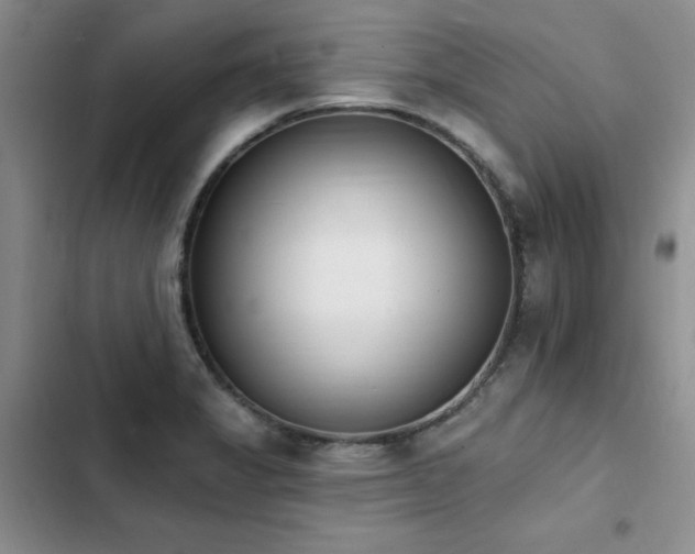 X0000103231325200808281422