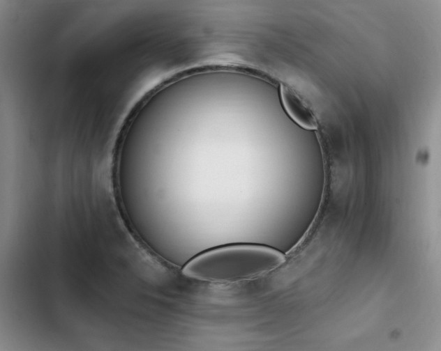 X0000103231326200808281422