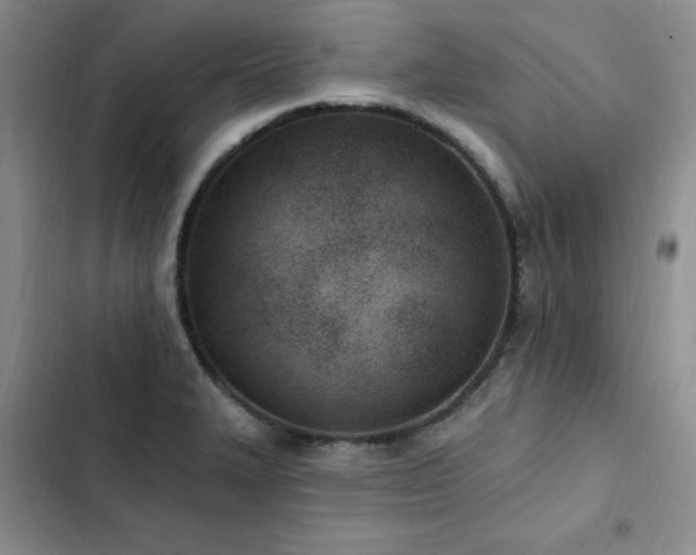 X0000103231327200808281422