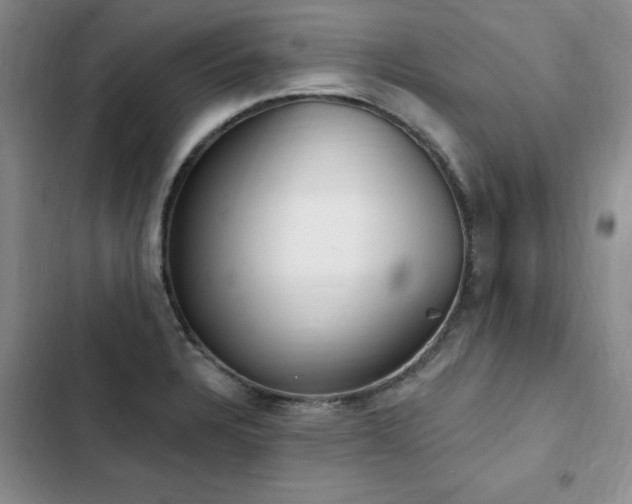 X0000103231328200808281422