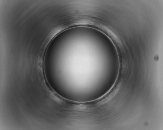 X0000103231329200808281422