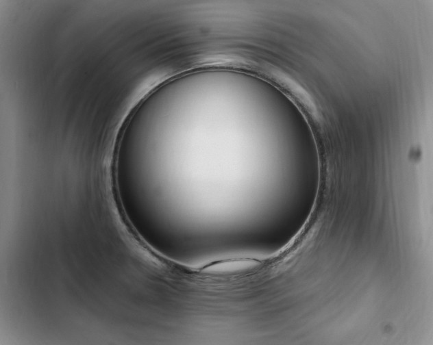 X0000103231330200808281422