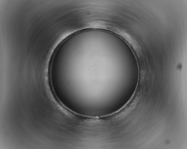 X0000103231331200808281422