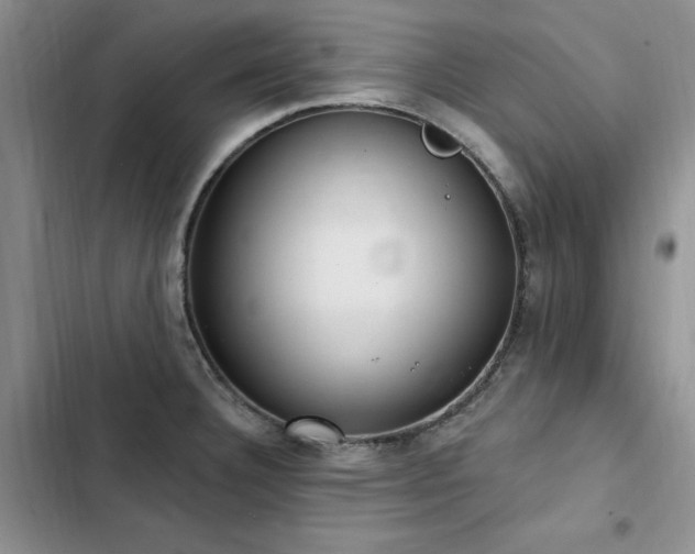 X0000103231332200808281422