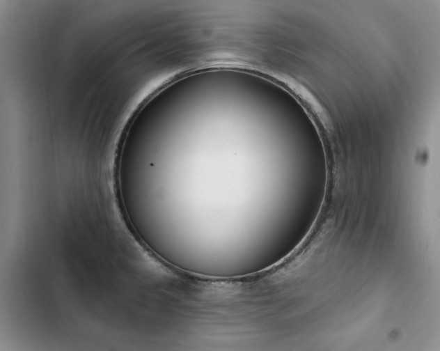 X0000103231333200808281422