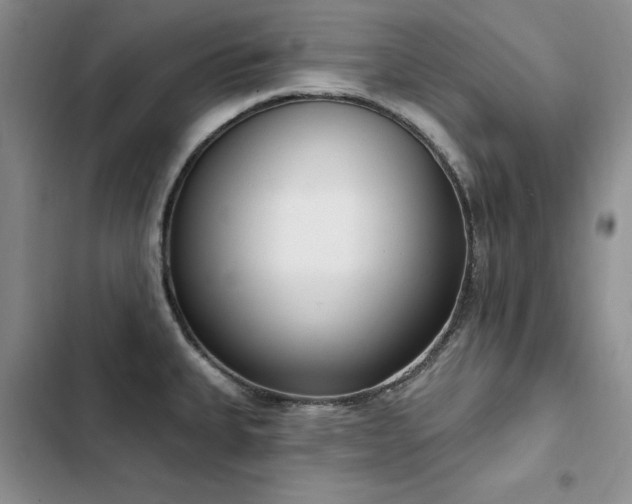 X0000103231335200808281422