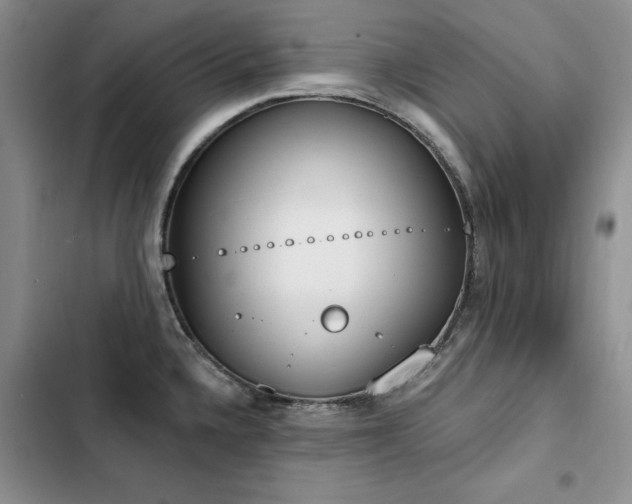 X0000103231336200808281422