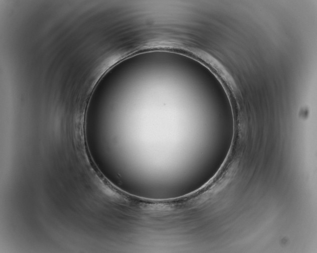 X0000103231337200808281422