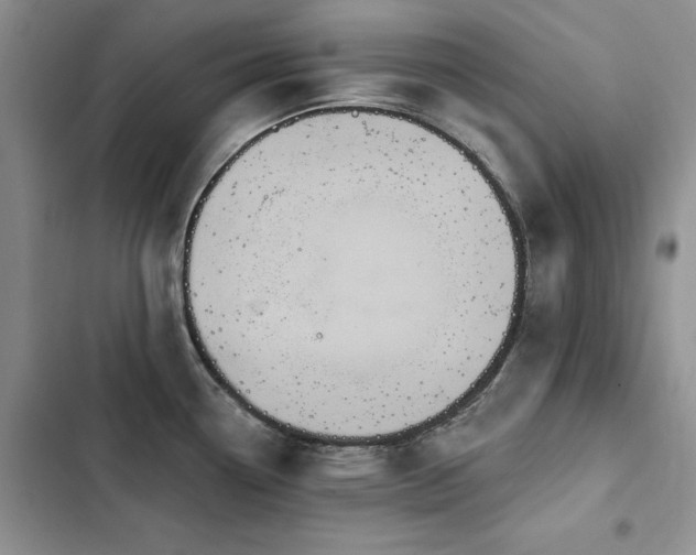 X0000103231338200808281422