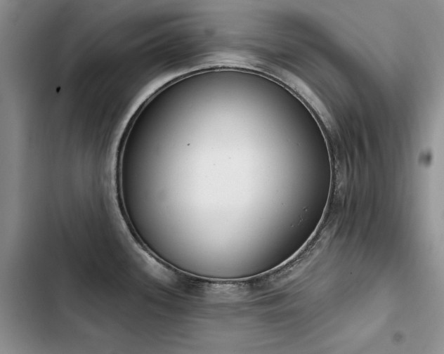 X0000103231339200808281422