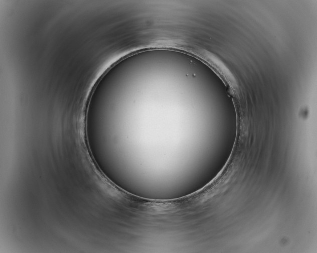 X0000103231340200808281422