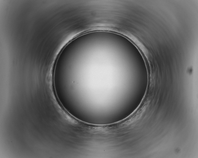 X0000103231341200808281422