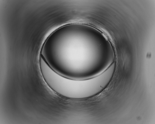 X0000103231344200808281422