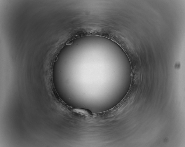 X0000103231345200808281421