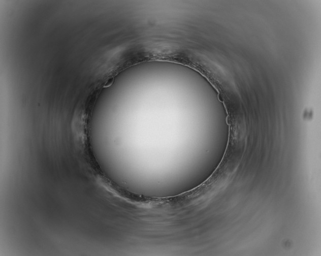 X0000103231346200808281421