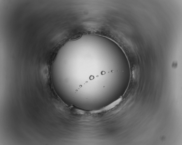 X0000103231347200808281421