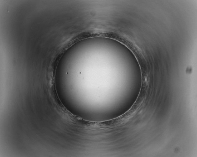 X0000103231348200808281421