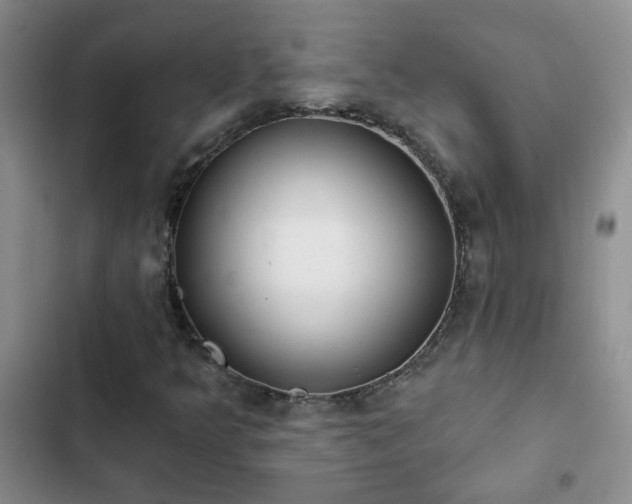 X0000103231349200808281421