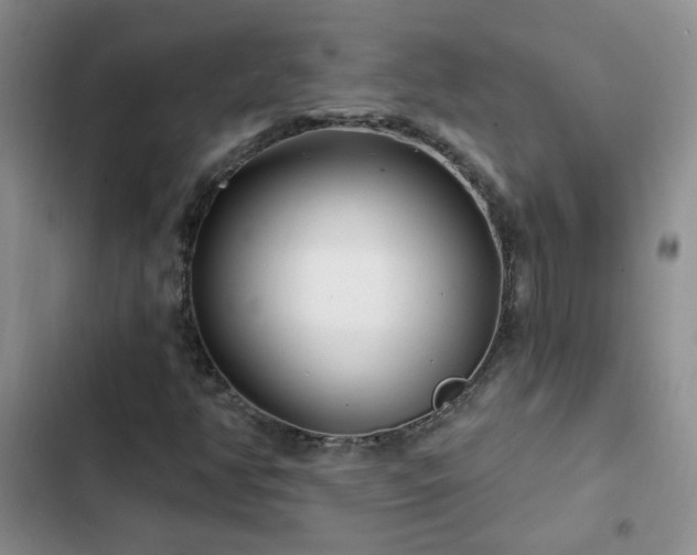 X0000103231350200808281421