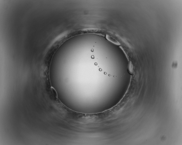 X0000103231351200808281421