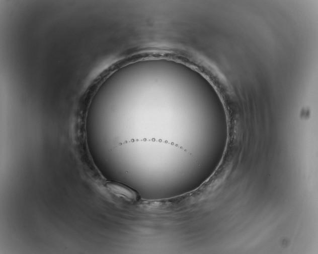 X0000103231352200808281421
