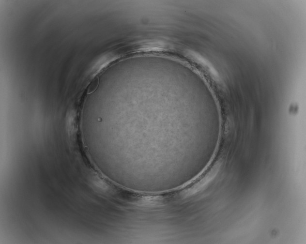 X0000103231353200808281421