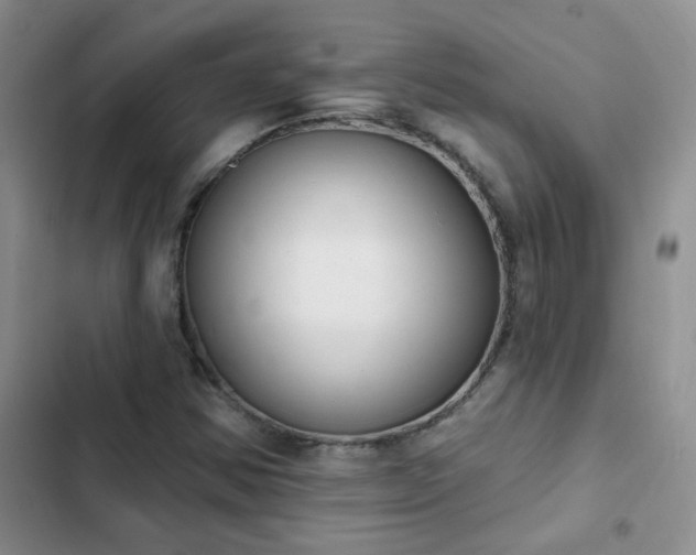 X0000103231354200808281421